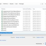 Guardar Asignaciones de Turnos Manuales