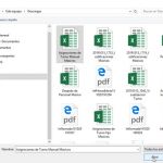 Importar Asignaciones de Turnos Manuales