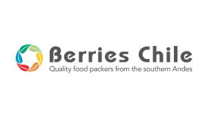berries chile